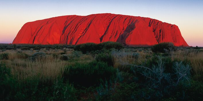 roter Ayersrock inmitten grüner Büsche