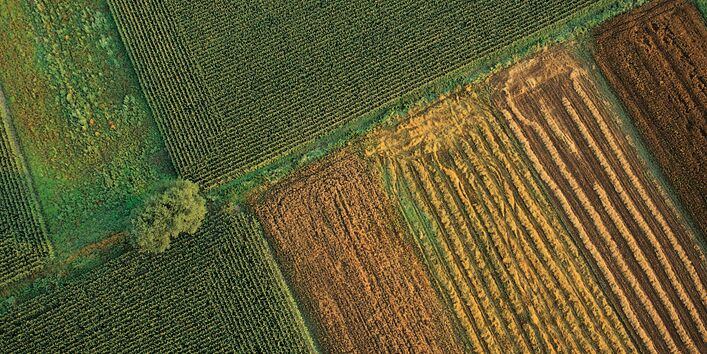 Luftaufnahme von bewirtschafteten Feldern in grün braun und gelb