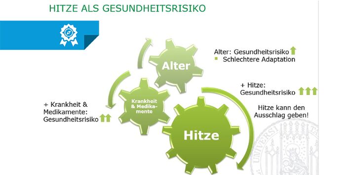 Hitze als Gesundheitsrisiko © Klinikum der Universität München