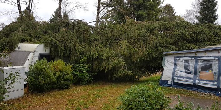 Ein Tannenbaum liegt von links nach rechts quer über einen Wohnwagen, Weg und einem Vordachzelt. Im Hintergrund stehen unbelaubte Bäume vor grauem Himmel.