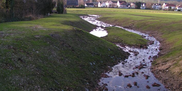 Eine Wiese mit Wassergraben, im Hintergrund eine Siedlung