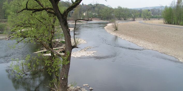 Flussarm mit Bäumen und Überflutungsfläche