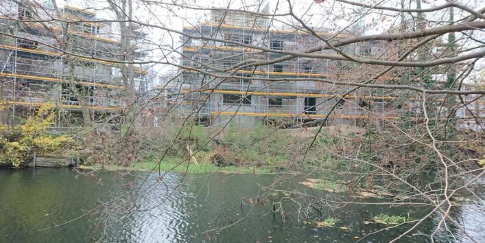 Der Blick geht durch unbelaubtes Baumgeäst auf Häuser mit Baugerüst, die am Wasserrand stehen.