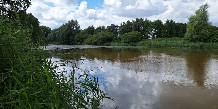 Naturnah gestaltetes Regenrückhaltebecken "Marschensee" in Langen, Geestland
