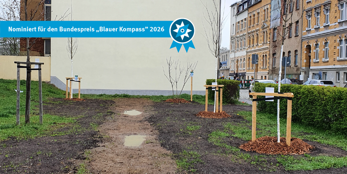Das Bild zeigt die Pflanzaktion der Klimabäume durch die kommunale Grünpflegefirma.