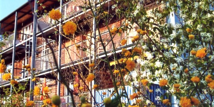Büsche im Vordergrund, im Hintergrund ein Mietshaus