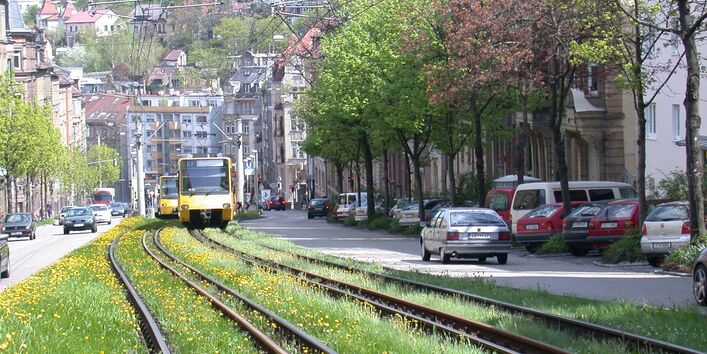 Begrüntes Gleisbett der Straßenbahn