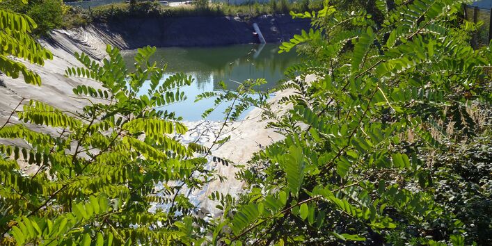 Der Blick geht auf einen Feuerlöschteich mitten im Grünen. Im Hintergrund steht ein weißes langgezogenes und flaches Gebäude.