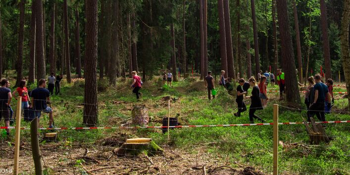 In einem abgesperrten Bereich im Wald laufen viele Personen hin und her.
