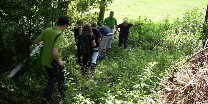 Personengruppe läuft am Waldrand