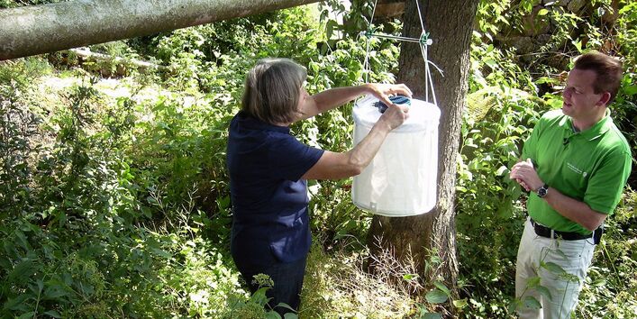 Personen beim Monitoring im Wald