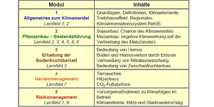 In Tabellenform sind die fünf Lernmodule und die dazugehörigen Inhalte aufgeführt.