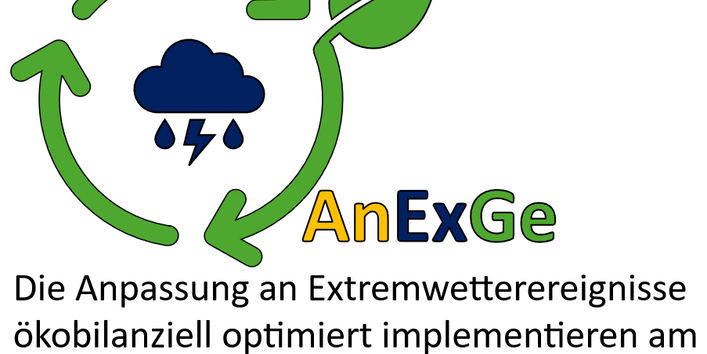 Projektlogo AnExGe