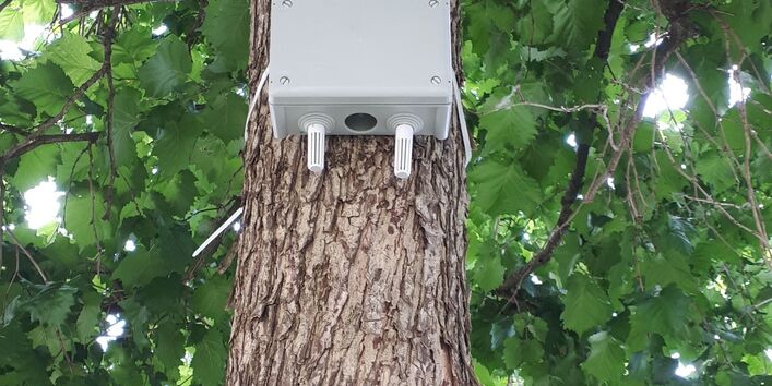 Ein Messgerät ist an einem Baum im Außenbereich einer der im Projekt vertretenen Pflegeeinrichtungen befestigt.