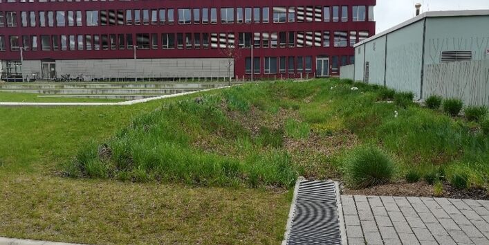 Regenwasserbewirtschaftung in der Rostocker Südstadt