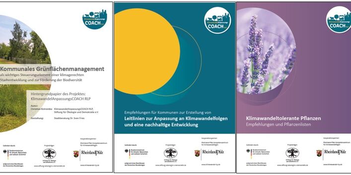 3 ausgewählte Hintergrundpapiere: Kommunales Grünflächenmanagement, Leitlinien zur Anpassung an Klimawandelfolgen und eine nachhaltige Entwicklung, Klimawandeltolerante Pflanzen