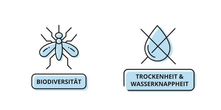 Grafische Darstellung in hellblau vor weißem Hintergrund von Folgen des Klimawandels, von denen Sportvereine betroffen sein können. 