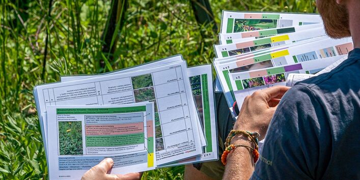 Fotografie laminierter Steckbriefe, die von Personen in einem Weinberg gehalten werden.