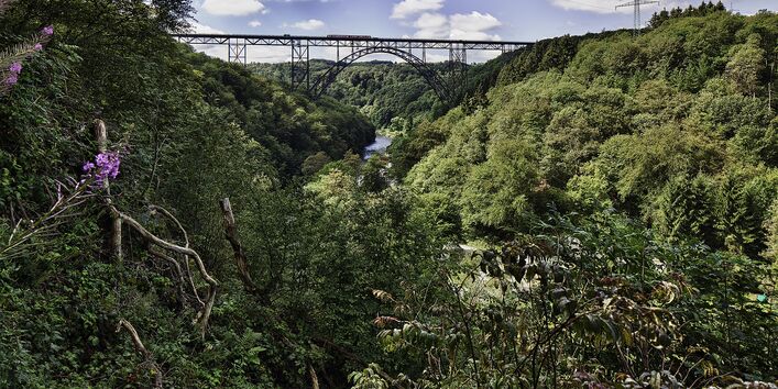 Remscheid Müngstener Brücke. Grün belaubte Bäume stehen im Vordergrund.