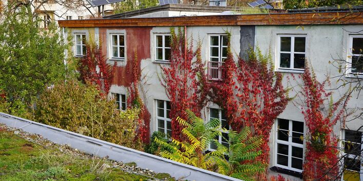 Foto einer Hausfassade mit Fassadenbegrünung mit Kletterpflanzen. Zudem ist Dachbegrünung erkennbar.