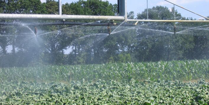 Fotografie einer Konstruktion zur Feldberegnung, die Wasser über Pflanzen versprüht.