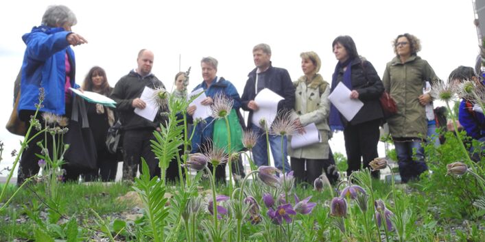 Begleitet von der Naturgärtnerin Ulrike Aufderheide besuchen Interessierte 2015 eine entsiegelte und begrünte Parkplatzfläche in Duisburg.