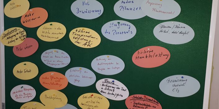 An einer Pinnwand sind viele Ideen und Gedanken zum Thema Klimafolgen für Vegetationsflächen als Ergebnisse eines Brainstormings angepinnt.