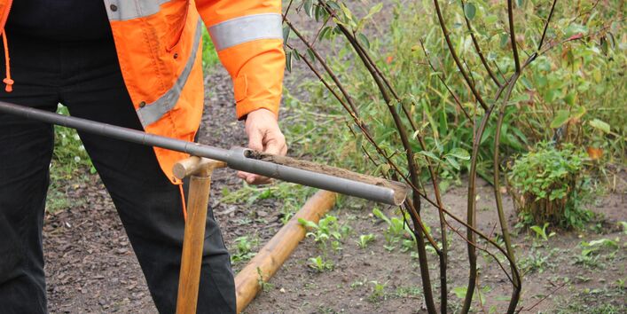 Eine Person begutachtet in einem angelegten Garten eine Bodenprobe.