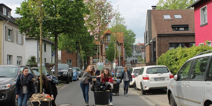 Bäume auf Wanderschaft