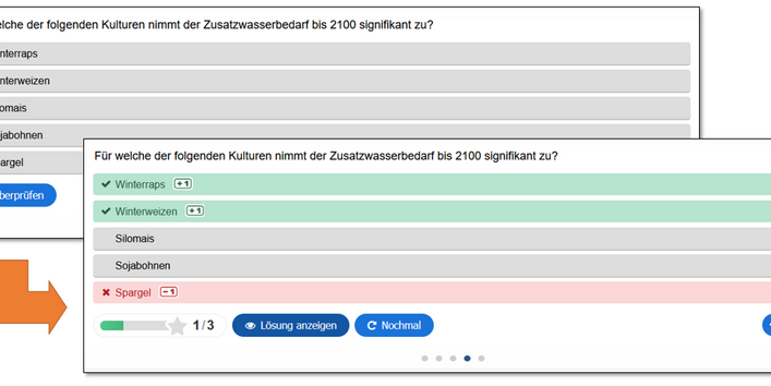 Zusammengesetzter Screenshot des Selbsttests des Projektes. Der erste Screenshot zeigt die Testoberfläche vor der Auflösung, der zweite diese nach der Überprüfung mit Anzeige der richtigen/falschen Angaben.