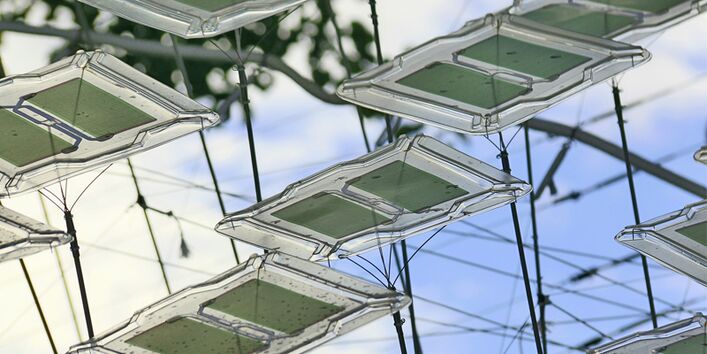 Nahaufnahme der durch Draht verbundenen Photovoltaik-Module.