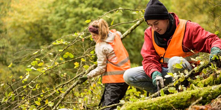 Zwei Personen mit Wanwesten sind zu sehen. Sie befinden sich im Wald, wo sie grün belaubte Äste sägen und abtransportieren.