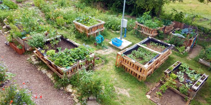 Beete und Wege des Campus Gartens