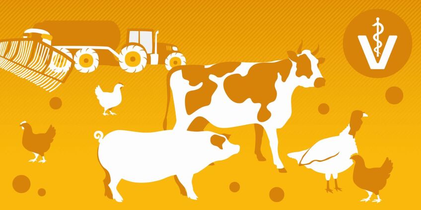 Titelbild Tierarzneimittelportal: Eine schematische Darstellung von Nutztieren und einem Traktor.