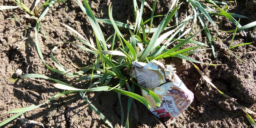 Feld mit Getreidepflanzen und Plastikabfall