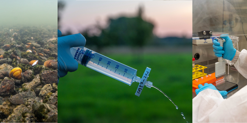 Bild Umwelt DNA Workflow