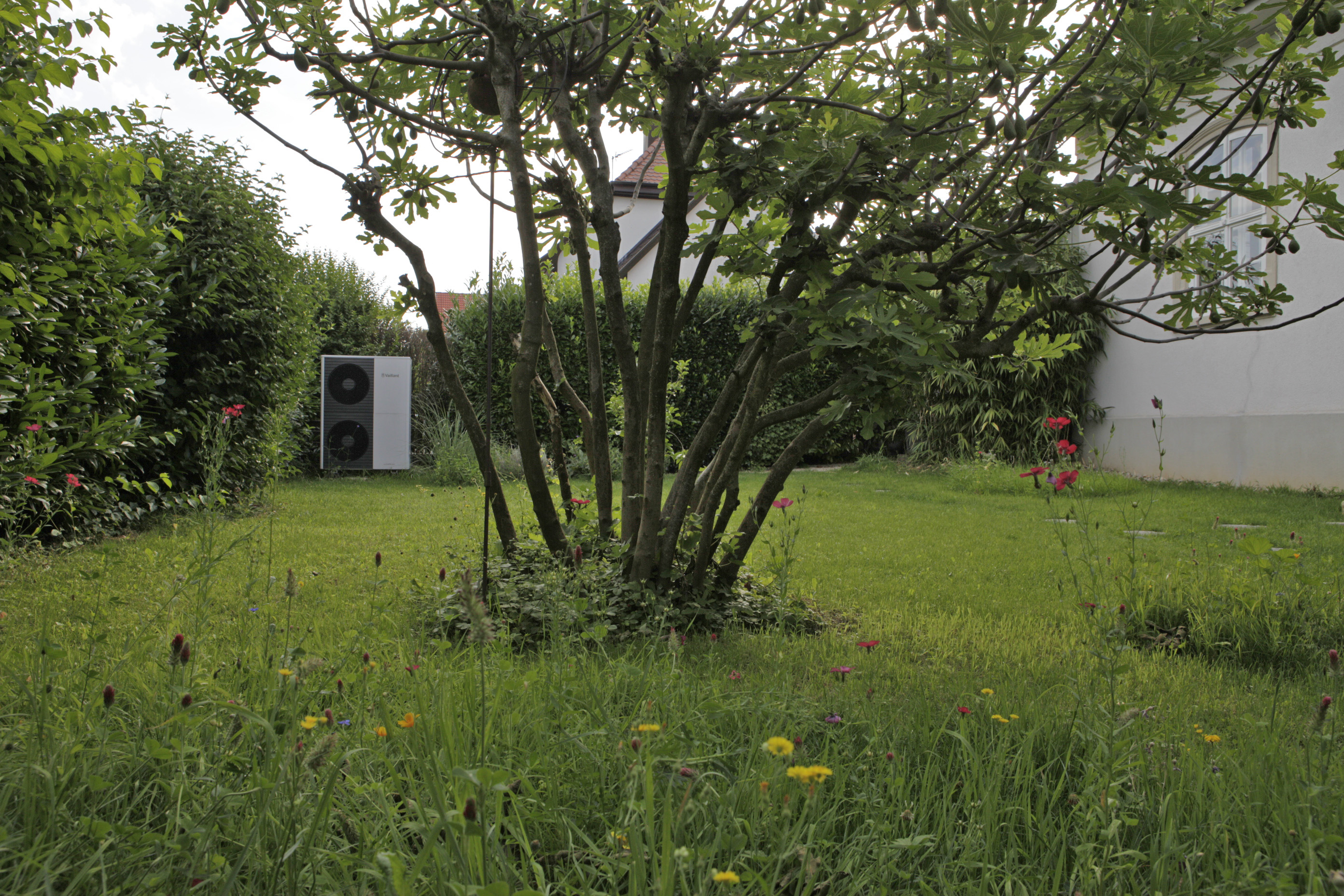 Ansicht des Gartens: auf der Wiese, die eine Hecke säumt, steht in einer Ecke die Außeneinheit der Wärmepumpe; im Vordergrund ein großer Busch.